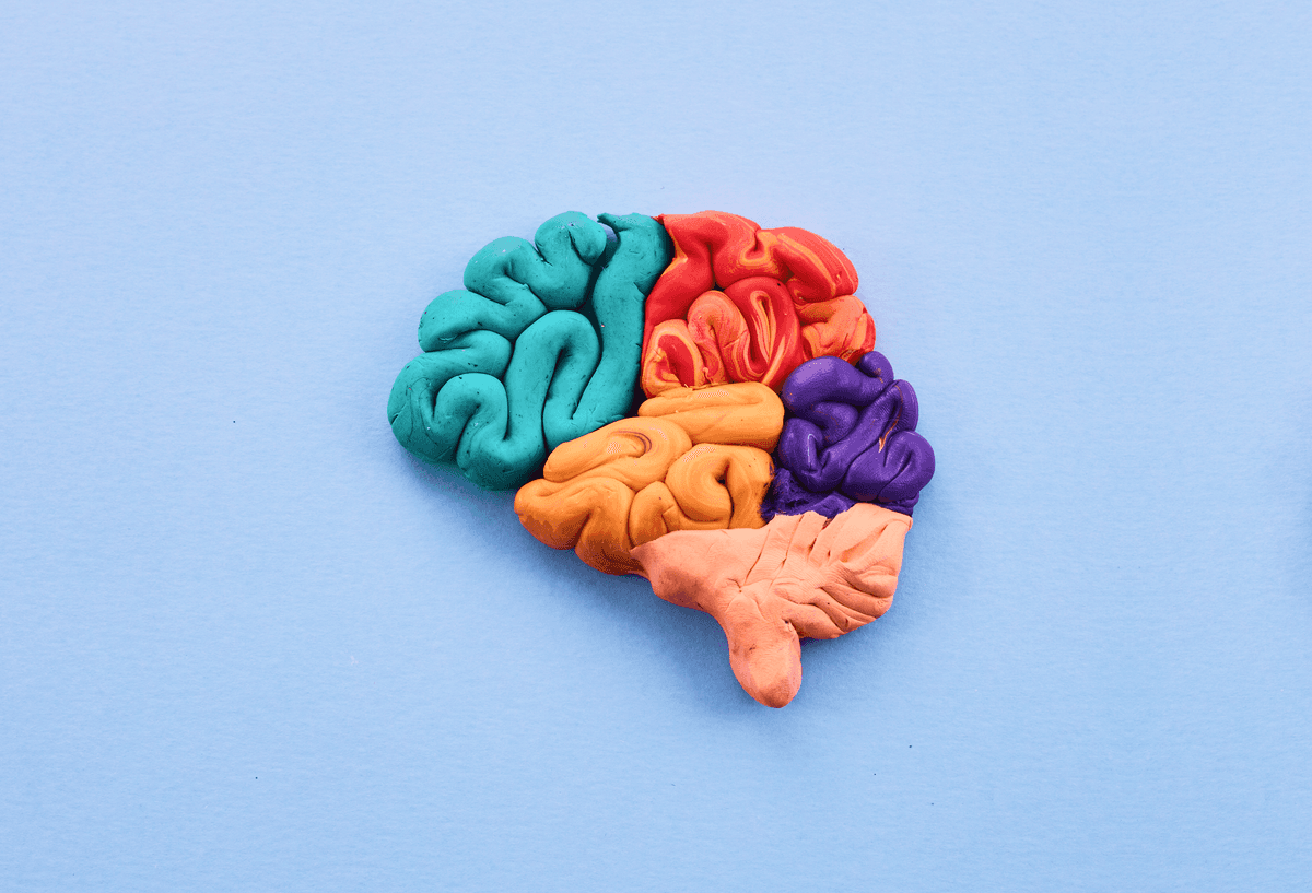 Brain health essentials